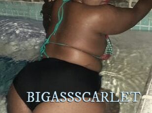 BIGASSSCARLET