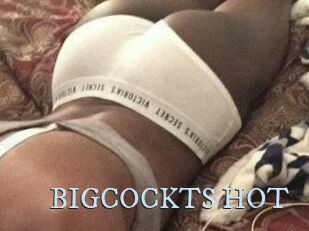 BIGCOCKTS_HOT