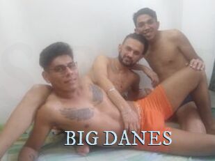 BIG_DANES