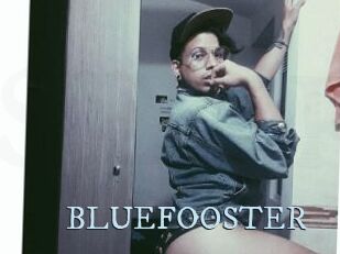 BLUEFOOSTER