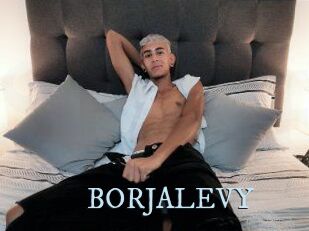 BORJALEVY
