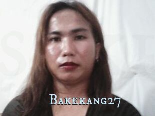 Bakekang27