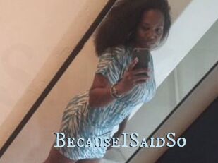 BecauseISaidSo