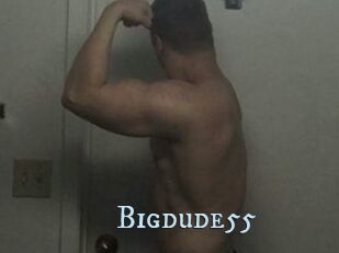 Bigdude55