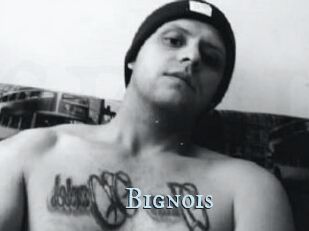 Bignois
