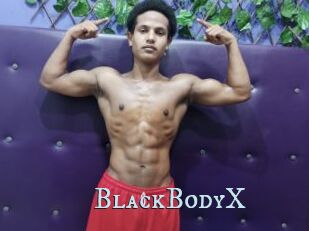 BlackBodyX