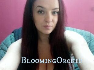 BloomingOrchid