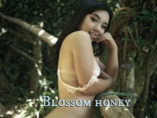 Blossom_honey