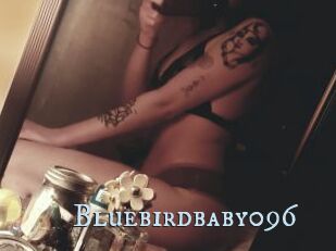 Bluebirdbaby096