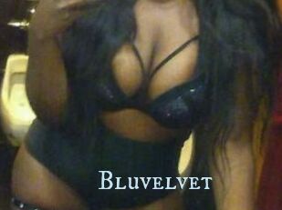 Bluvelvet