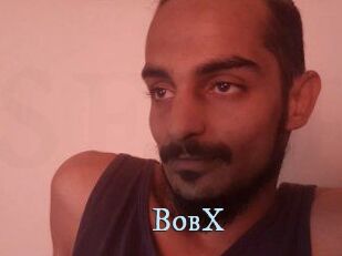 BobX