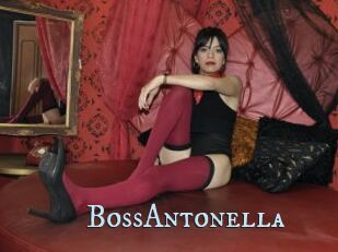BossAntonella