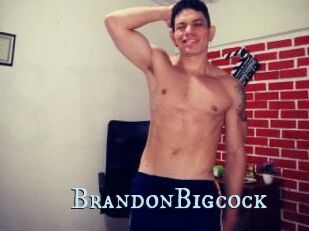 BrandonBigcock