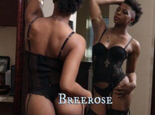 Breerose