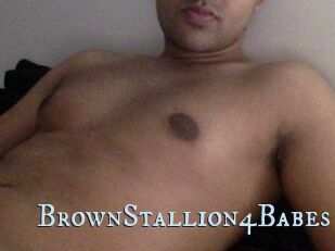 BrownStallion4Babes