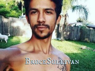 Bruce_Sullivan