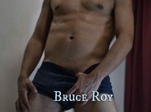 Bruce_Roy