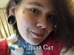 Buzz_Cat