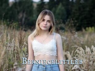 Berniecelittleb