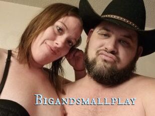 Bigandsmallplay