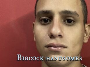 Bigcock_handsomes
