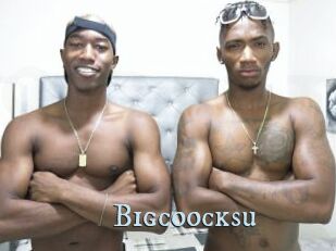 Bigcoocksu