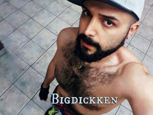 Bigdickken