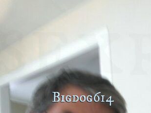 Bigdog614
