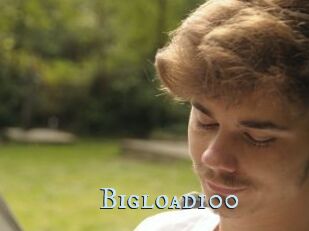 Bigload100