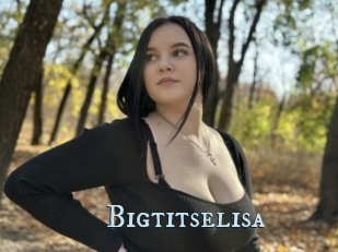 Bigtitselisa