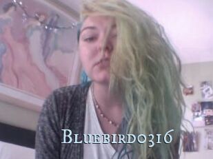 Bluebird0316