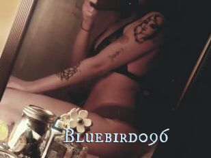 Bluebird096