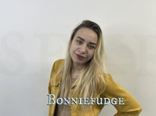 Bonniefudge