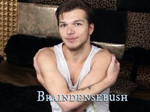 Braindensebush