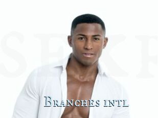 Branches_intl