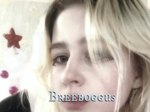 Breeboggus