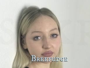 Breefudge