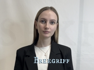 Breegriff