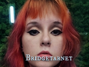 Bridgetarnet