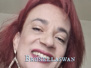 Brunellaswan