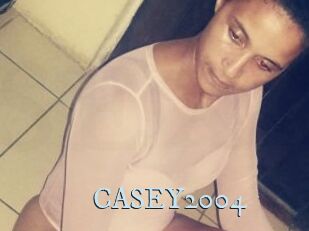 CASEY2004
