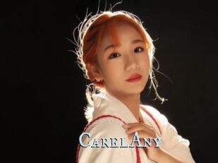CarelAny