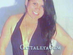 CattaleyaCum