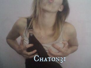 Chaton31