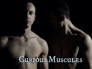 Curious_Muscules