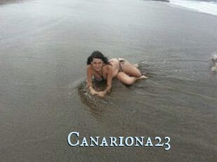 Canariona23