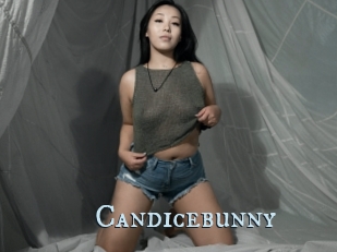 Candicebunny