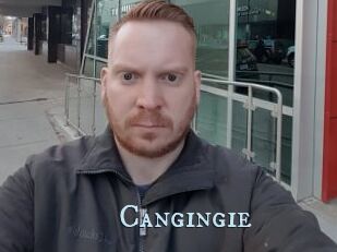Cangingie