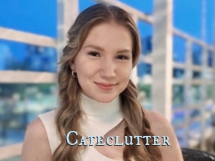 Cateclutter