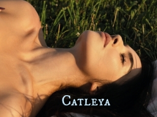 Catleya